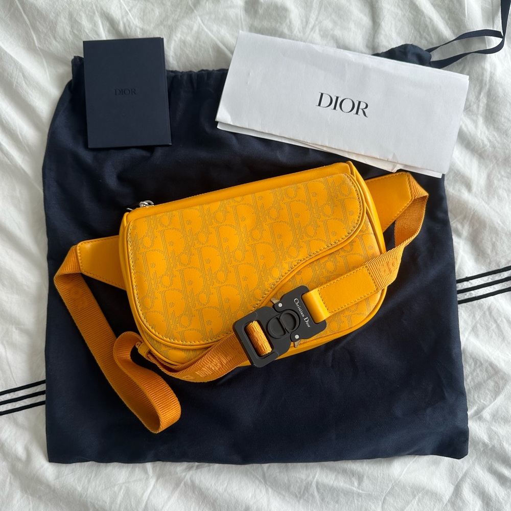 Dior Saddle